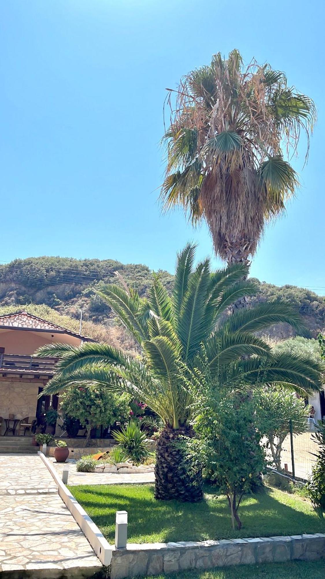 Palma Beach House سارتي المظهر الخارجي الصورة