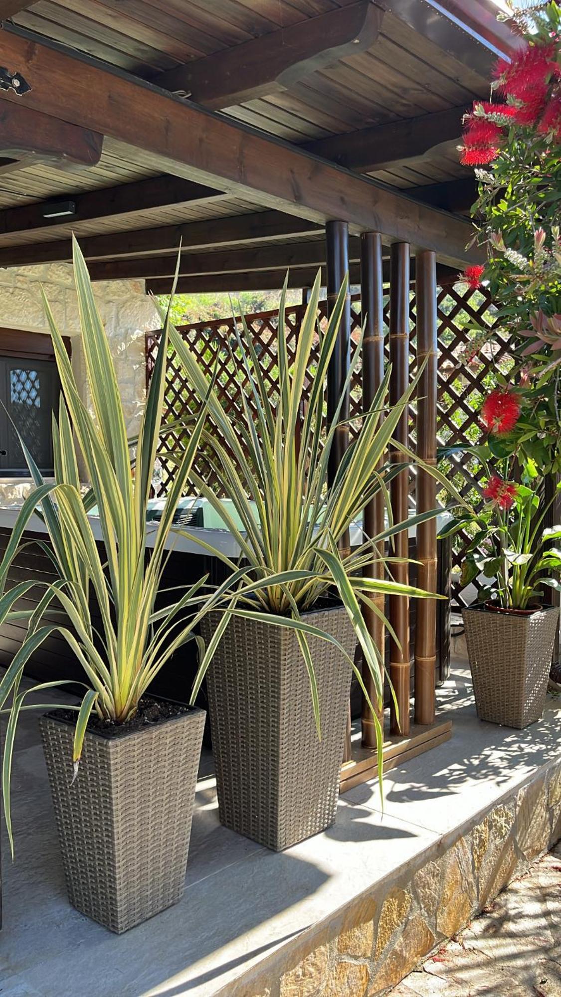 Palma Beach House سارتي المظهر الخارجي الصورة